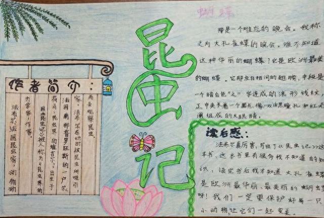 大小书虫手拉手——南宁市澳华小学书香校园读书月之亲子读书绘本活动