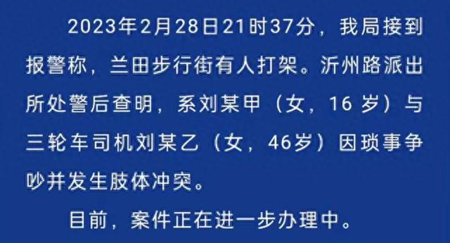 16岁网红打人女孩身份被扒，拉架男孩惨被网暴，已向女方同伴道歉