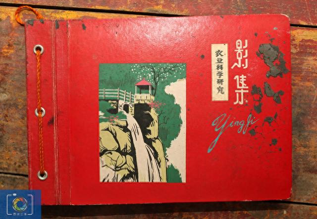 一本老相册，藏着年轻人的故事，46年前你会选择照片中哪个女孩