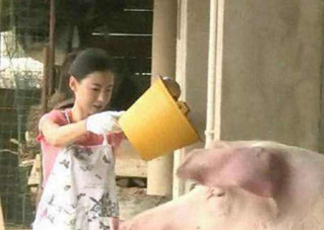 实拍干农活的女星，张柏芝喂猪，林志玲挤奶，赵丽颖被赞不忘本！