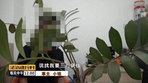 男子与美女在线裸聊，遭遇“网络版仙人跳”，北京警方打掉一裸聊诈骗平台