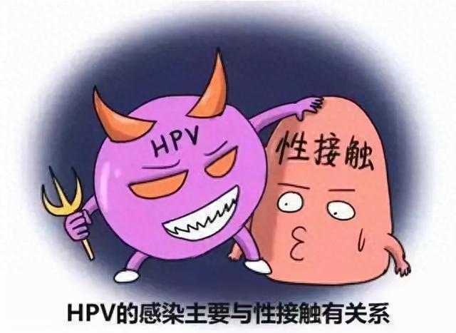 感染HPV病毒后，还能有性生活？可以怀孕吗？