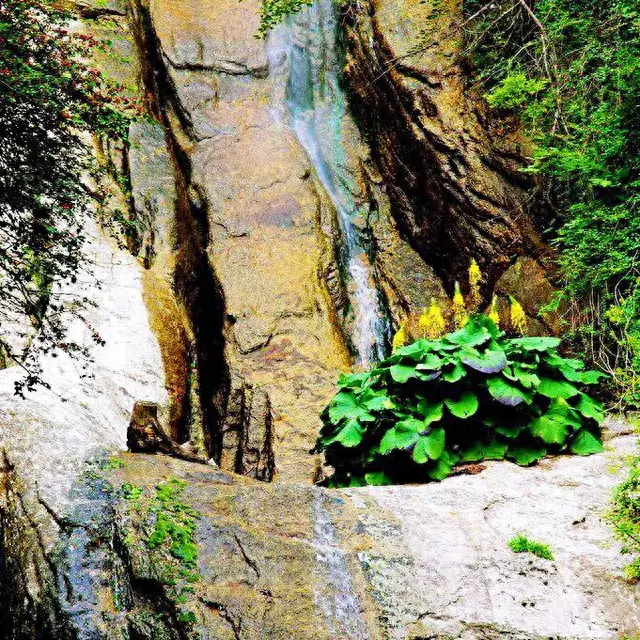 陕西小黄山（玉山）