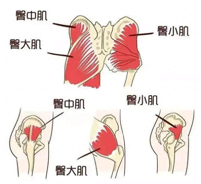 世界第三，中国第一美臀皇后！是如何练就完美腰臀比例的？