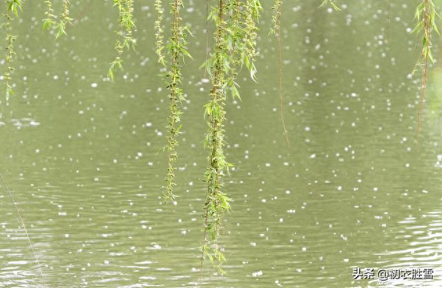 晚春柳絮诗词五首，柳花著水万浮萍，溯源柳絮化萍的来历