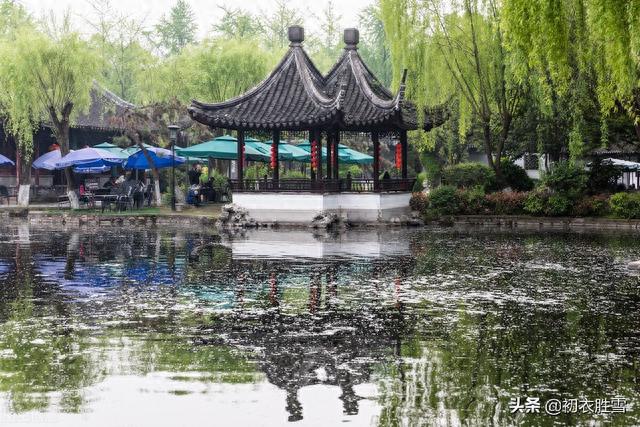 晚春柳絮诗词五首，柳花著水万浮萍，溯源柳絮化萍的来历