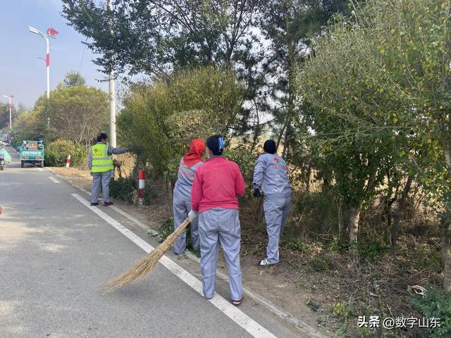 莱西市马连庄镇：秋季“梳妆”好时节 绿化修剪展新颜