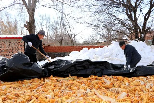 吉林省局部大暴雪或打破历史极值，强降雪下到“发紫”