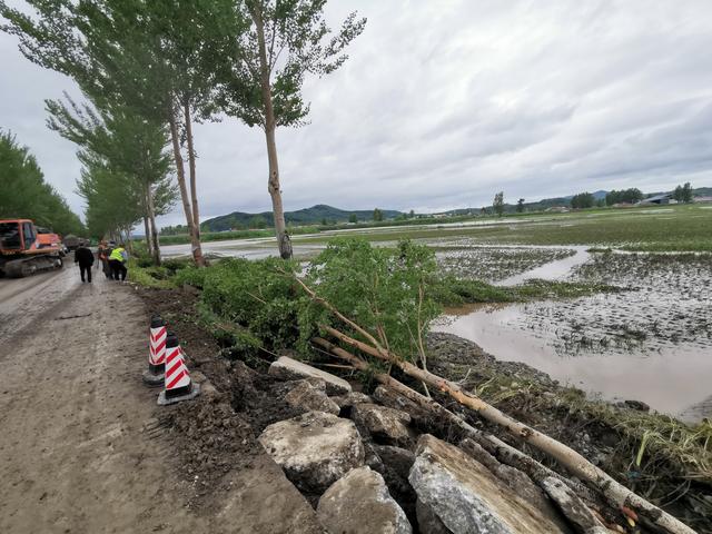 “单季水稻第一县”五常遭洪水重创：部分村屯被淹，大片稻田泡水