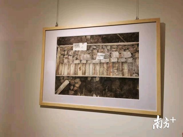 “女人如画”——深圳女画家作品专题展开幕