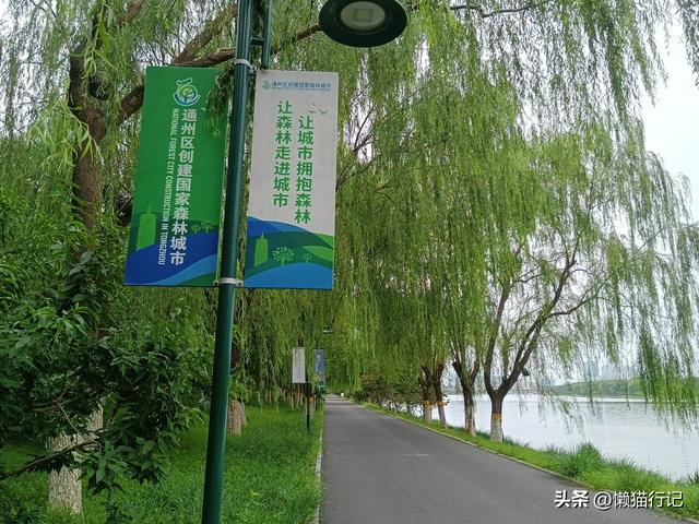 北京东郊的大运河森林公园，观光、休闲、骑车、遛娃首选地