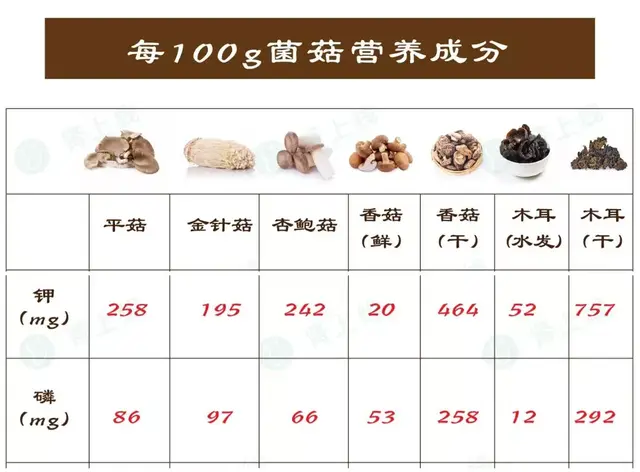 香菇、平菇、金针菇、干制菇......原来肾友最不该吃的是它