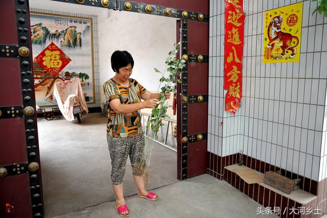 这地方的端午节习俗有点意思，家家门前竟贴老虎