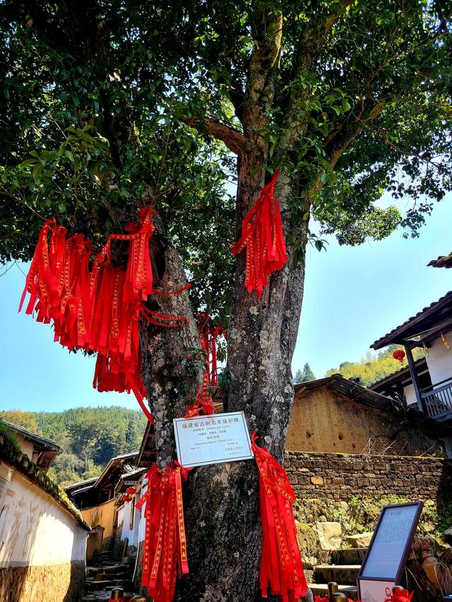 桂峰—中国历史文化名村