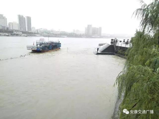 今天上午开始，安康汉江水位持续上涨！