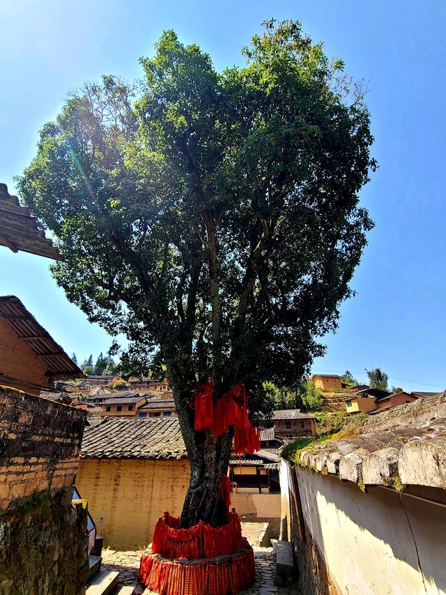 桂峰—中国历史文化名村