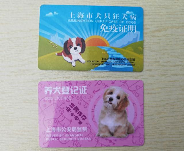 青浦区春季犬只狂犬病集中免疫全面启动！