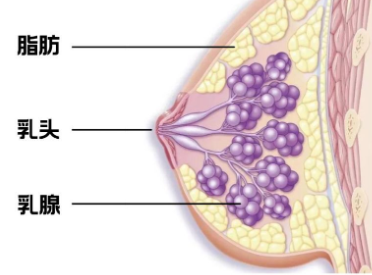 被乳房按摩毁掉的中国女人