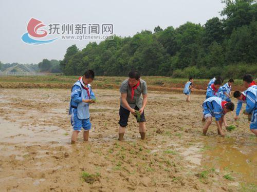 临川：仙盖山景区打造乡村5A级景点