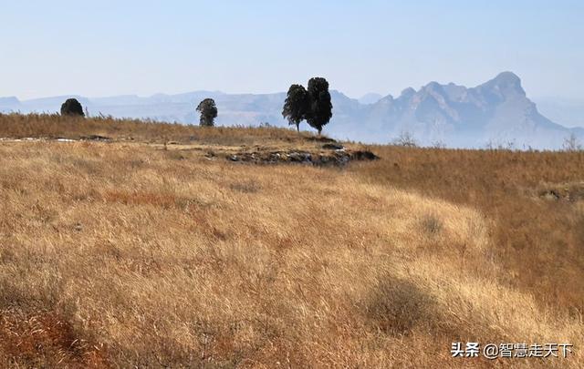 看水、看花、赏野马徒步穿越路线之“朱庄水库——滹沱村”