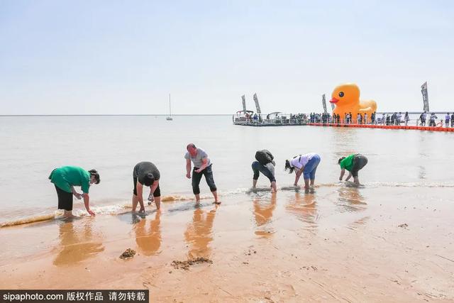 超近！距离北京2小时的碧海+“黄金”沙滩！今夏不去可惜了