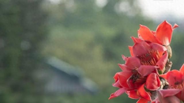 高清大图来袭！这些“最美校花”全都来自中山大学，美出新高度