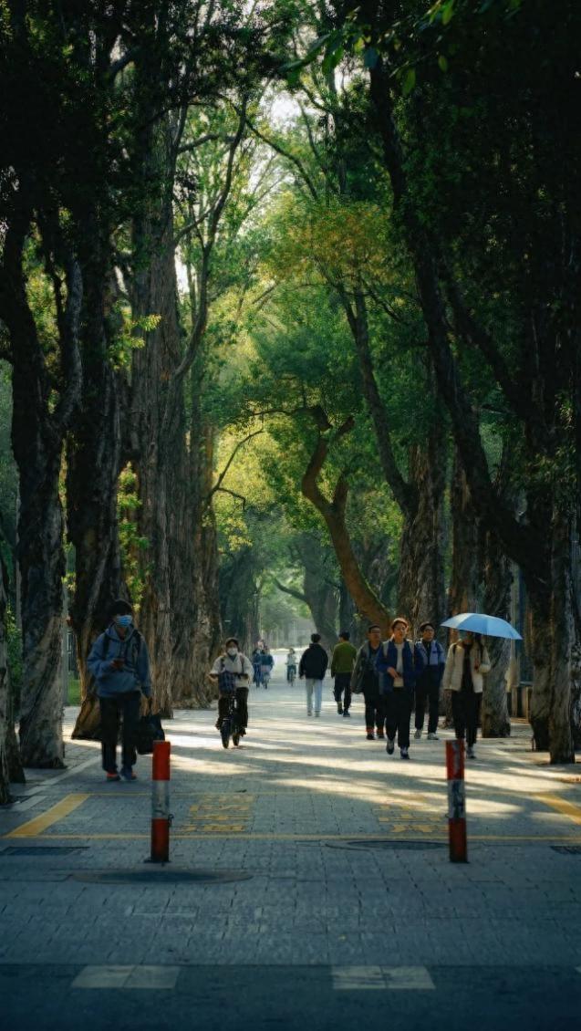 高清大图来袭！这些“最美校花”全都来自中山大学，美出新高度