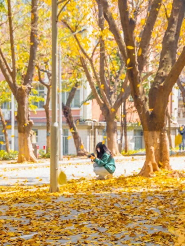 高清大图来袭！这些“最美校花”全都来自中山大学，美出新高度