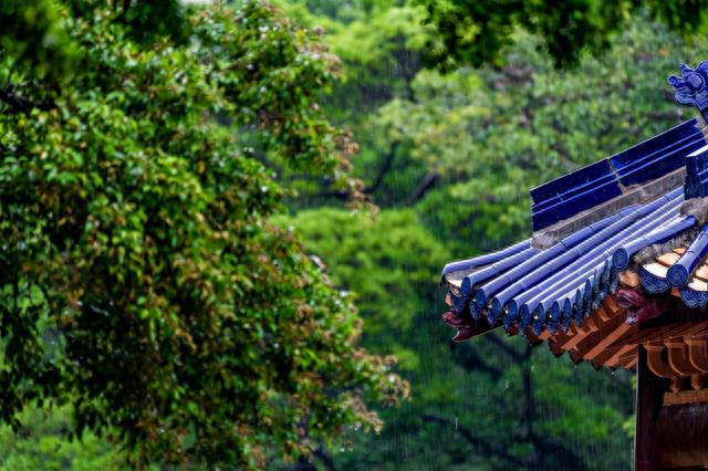 高清大图来袭！这些“最美校花”全都来自中山大学，美出新高度