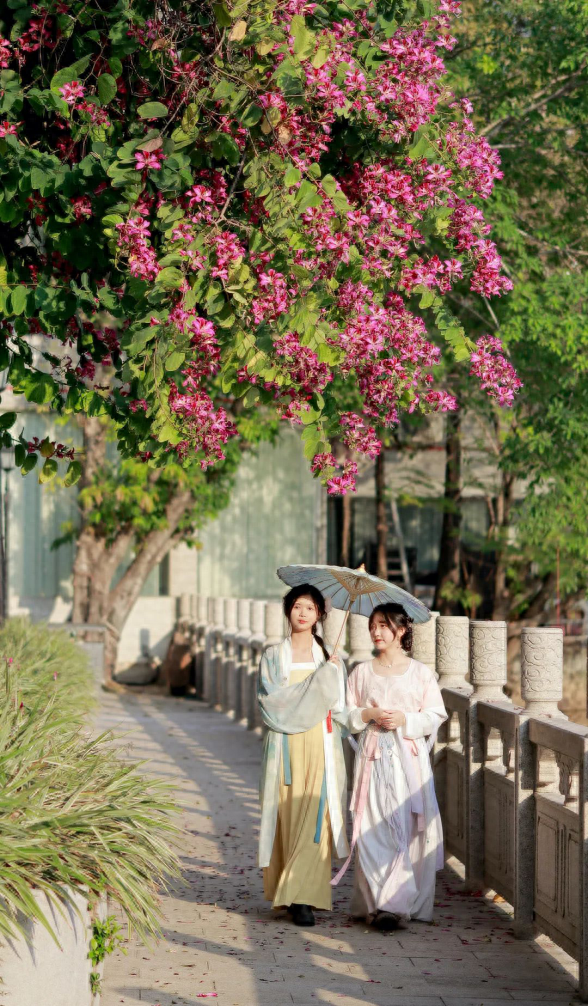 高清大图来袭！这些“最美校花”全都来自中山大学，美出新高度