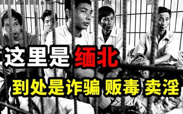 揭露缅北女人惨遭骗局：被奴役成“奶牛”每天遭受折磨