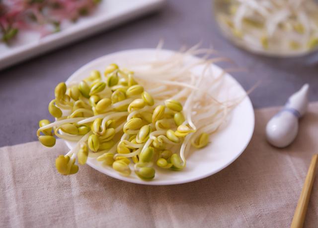 别再买豆芽了！有豆子就能发，3天就发好，无化肥更健康，超简单