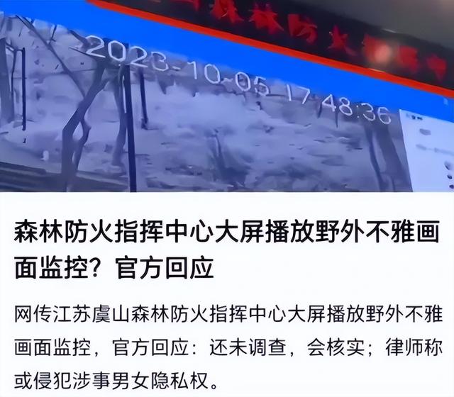 爆笑！夜晚森林“秀恩爱”，结果被大屏直播