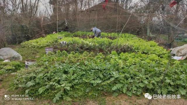 湖边的小屋