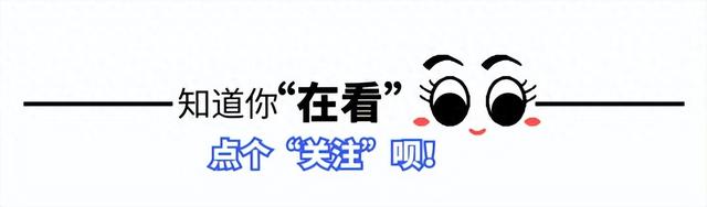 从“童战”到国家级裁判：杨俊毅13年后精彩回归