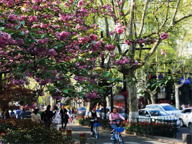 带你漫游西湖北线，远观宝石流霞，玉带白堤