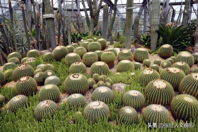 山西人去广州做客，感受热情好客食在广州，现代化的大都市有多美