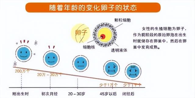 为什么要把35岁定义为高龄产妇？过了这个年龄，还想生孩子怎么办