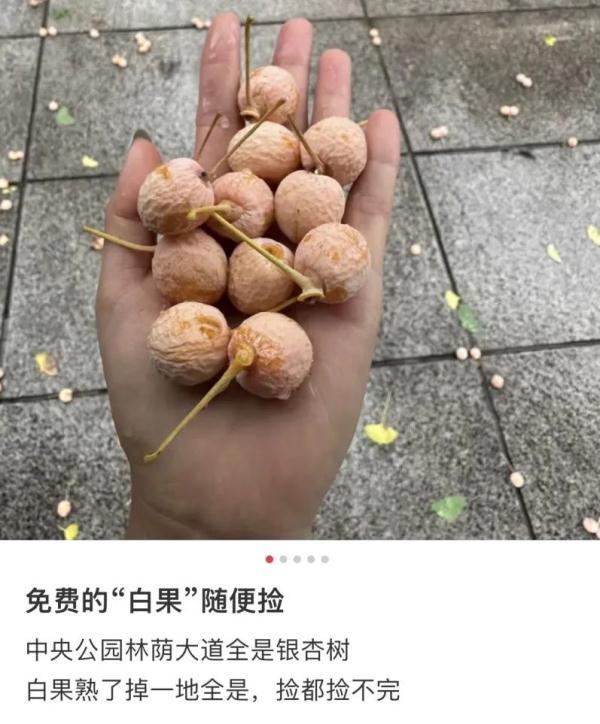 街头这种果子别乱吃！有人吃后呕吐抽搐，当晚被送进ICU……