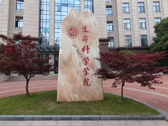 打卡复旦大学校园