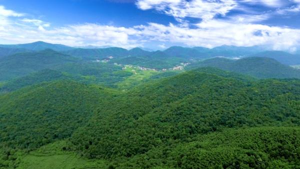 在这些避暑地，找到20℃的夏天