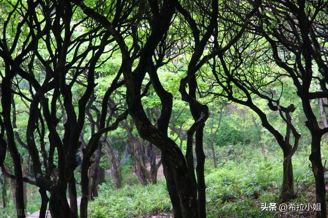 天台山旅游：来天台山旅游一定要去的5个景点，你都打卡了吗？