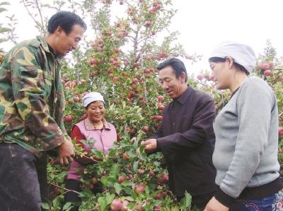 “人民楷模”王有德：生命不息，治沙不止