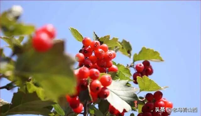 端午节出游，山西介休绵山攻略