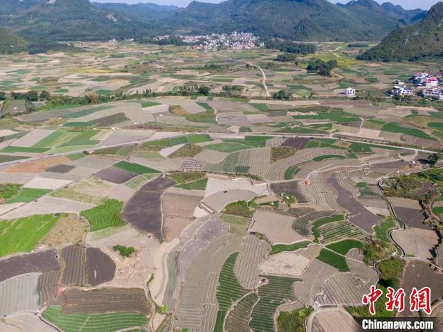 航拍中国西南部最大香葱种植基地 大地如绿色拼图