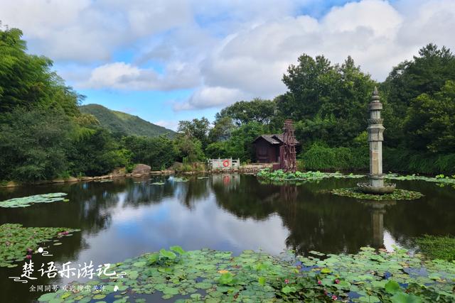 位于宁波五磊山巅的千年古寺，荷花盛开有禅境，人文悠远值得一游