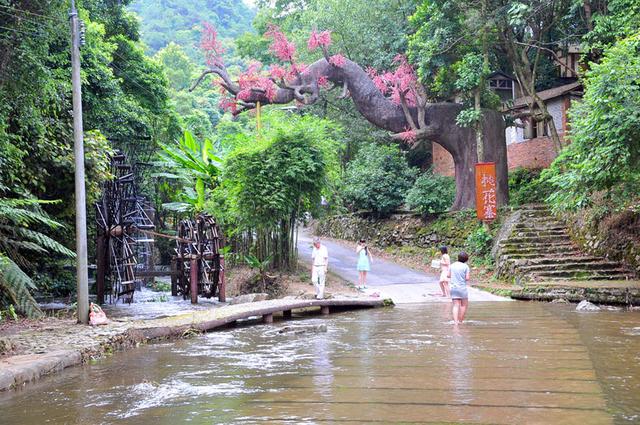 广西壮族自治区贺州市昭平县：养生之都，长寿之乡，大美昭平县