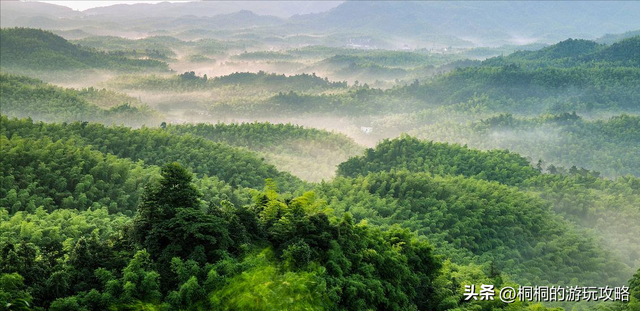 万里长江第一城、中国酒都、中国竹都；四川宜宾旅游必去十大景点