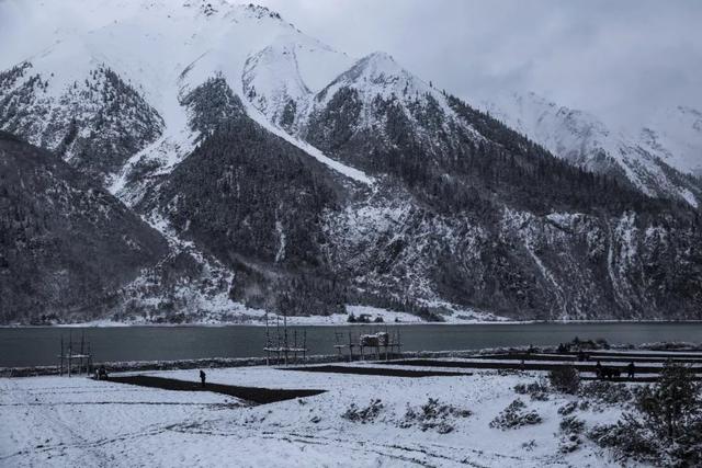 四部电影讲述雪域高原，西藏这些美得要溢出来的风景