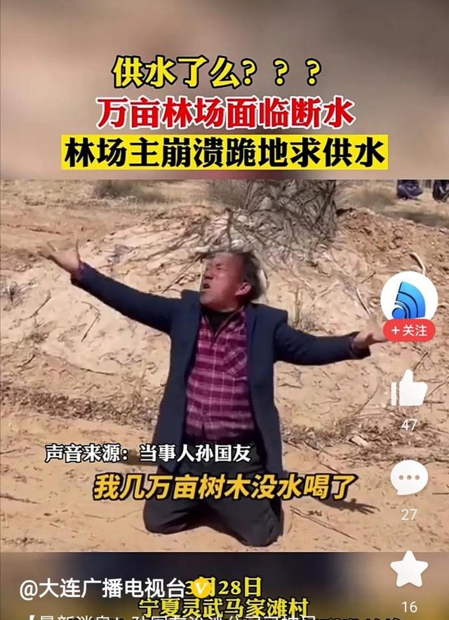 林场下跪后续，专家们纷纷下场了，孙国友19年种树要被彻底抹杀？